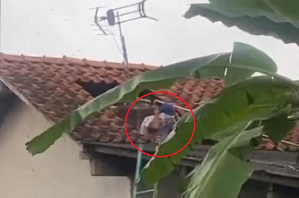 Viral Warga Cilacap Tewas Diserang Tawon Vespa saat Bersihkan Tandon Air