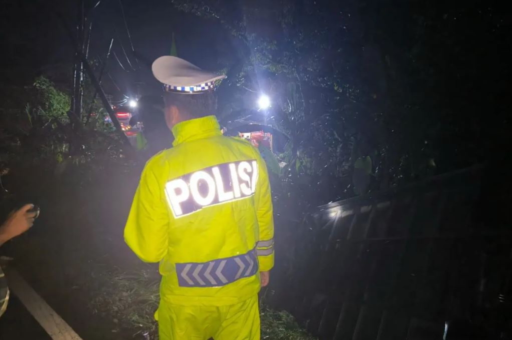 Kecelakaan Bus Terperosok Masuk Jurang di Lahat Sumsel