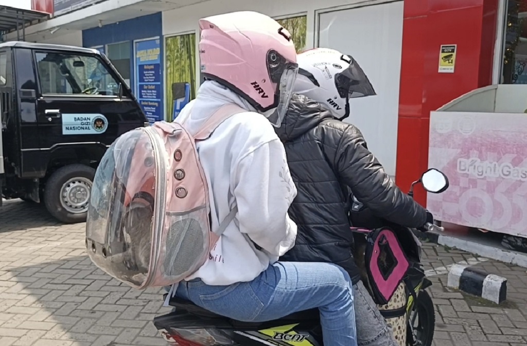 Cerita Unik Mudik Lebaran 2026: Pemudik Asal Bogor Bawa 2 Kucing Naik Motor ke Purbalingga