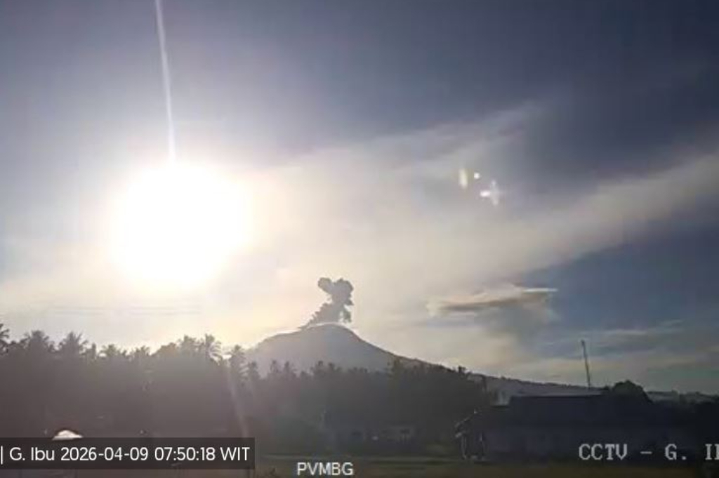 Gunung Ibu Meletus, Muntahkan Kolom Abu 700 Meter ke Langit Halmahera Barat