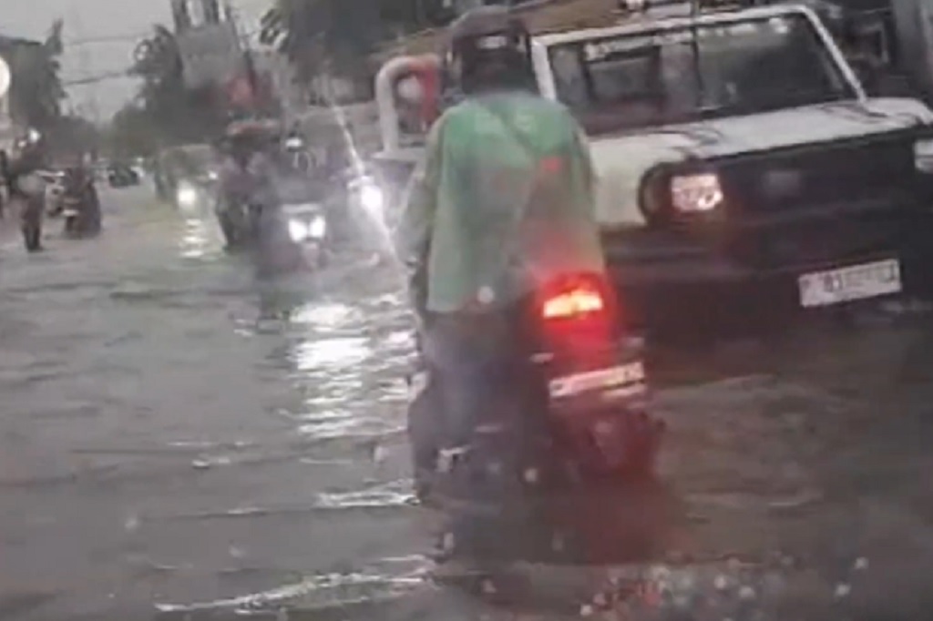 Hujan Badai Terjang Jember, Puluhan Pohon Tumbang hingga Picu Banjir