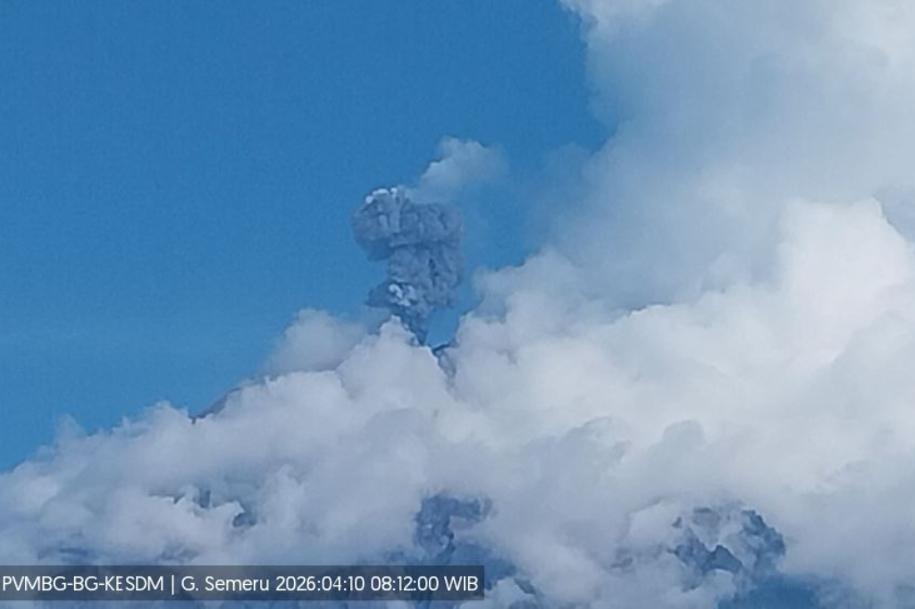 Gunung Semeru Meletus Hari Ini, Muntahkan Kolom Abu Setinggi 800 Meter