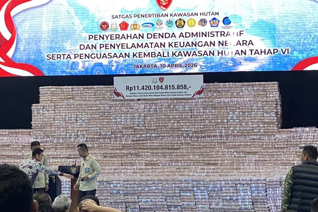 Penampakan Gunungan Uang Rp11,4 Triliun Hasil Penagihan Denda oleh Satgas PKH