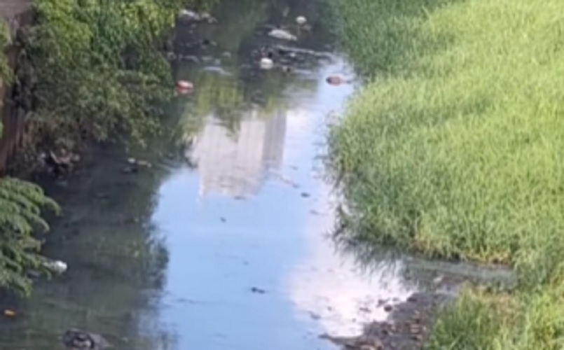 Kali Ciliwung di Menteng Dibersihkan usai Ramai Disorot, Pramono: Semakin Diviralkan, Makin Baik