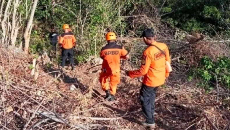 Ini Identitas 8 Penumpang dan Kru Helikopter Hilang Kontak di Sekadau