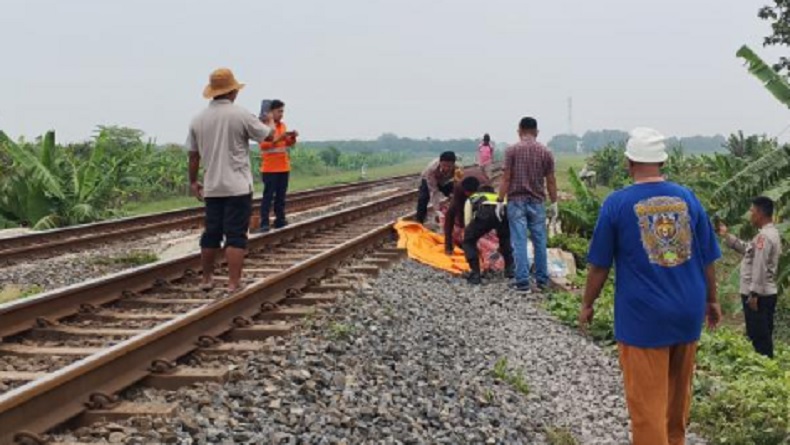Tragis! Petani Tewas Tertabrak Kereta Api di Indramayu saat Cari Padi Sisa Panen