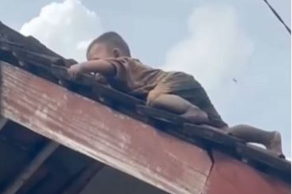 Terlalu Aktif! Bocah 2,5 Tahun di Lombok Viral Terekam Video Merayap di Atas Genting