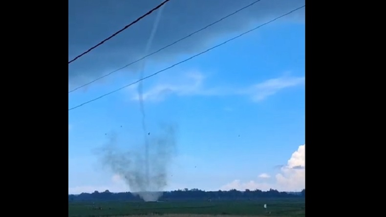 Mencekam! Puting Beliung Mengamuk di Persawahan Bangkalan, Tanaman hingga Gubuk Rusak