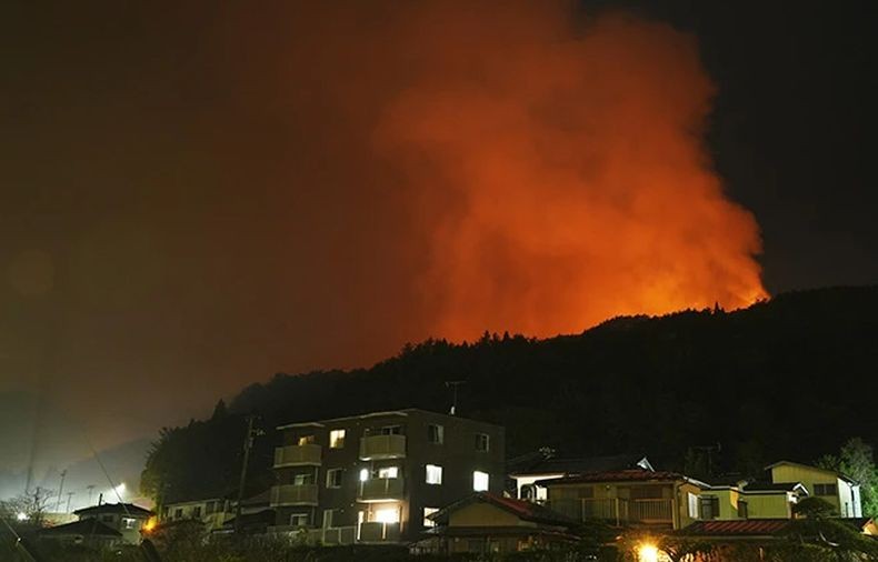 Jepang Dilanda Kebakaran Hutan Dahsyat, Ribuan Orang Dievakuasi