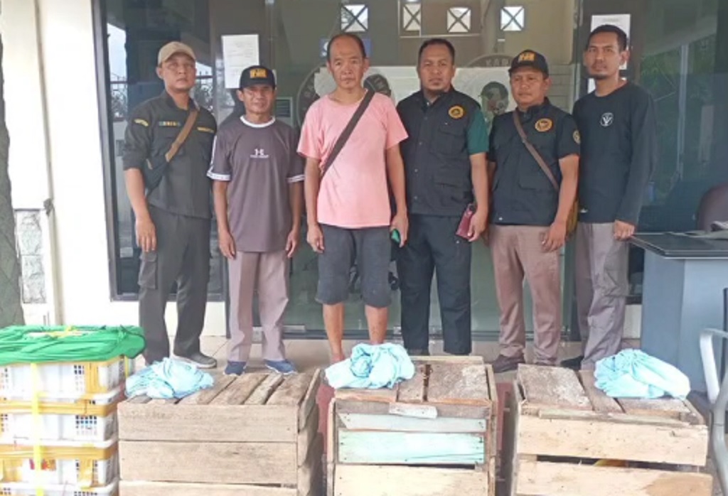 Penyelundupan Burung Maleo Digagalkan di Surabaya, Diduga Libatkan Oknum TNI
