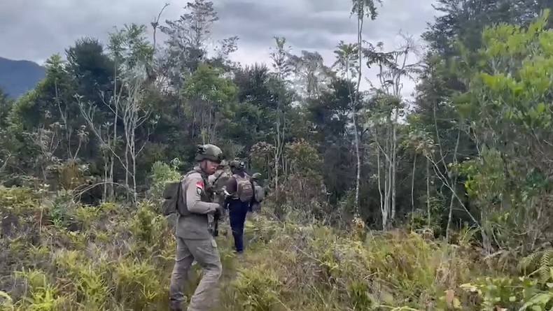 10 Pendulang Emas Tewas Diserang KKB, Aparat Evakuasi Korban dan Kejar Pelaku ke Hutan