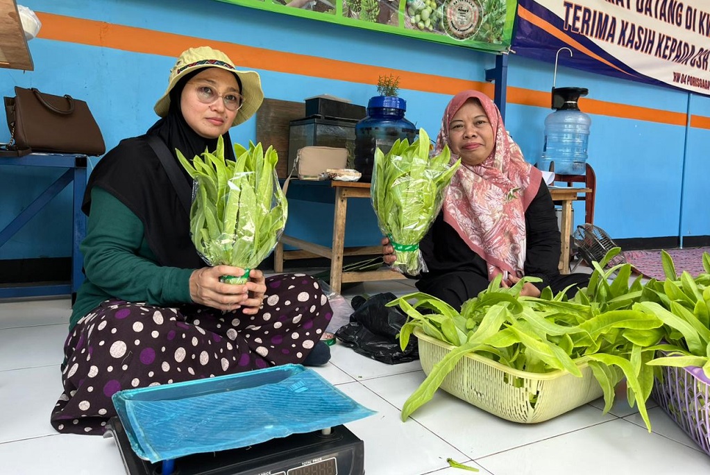 KWT Mawar 8 Bersama BRI Beri Manfaat Nyata, Hasil Panen Penuhi Kebutuhan Pangan Warga