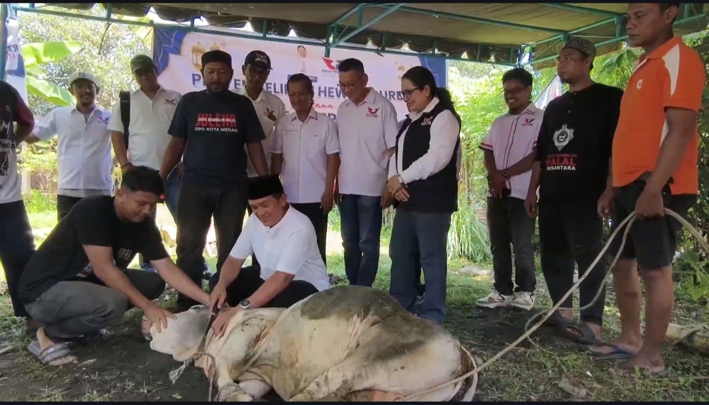 Peringati Iduladha 1447H, Perindo Sumut Sembelih 41 Hewan Kurban