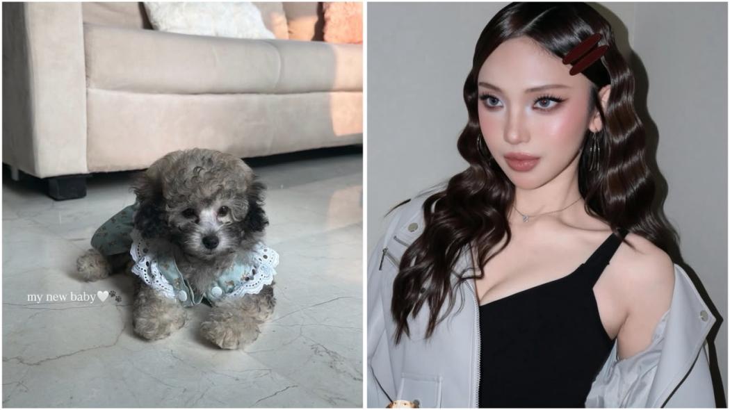 Geger! Jule Mendadak Pelihara Anjing usai Diisukan Hamil Anak Safrie
