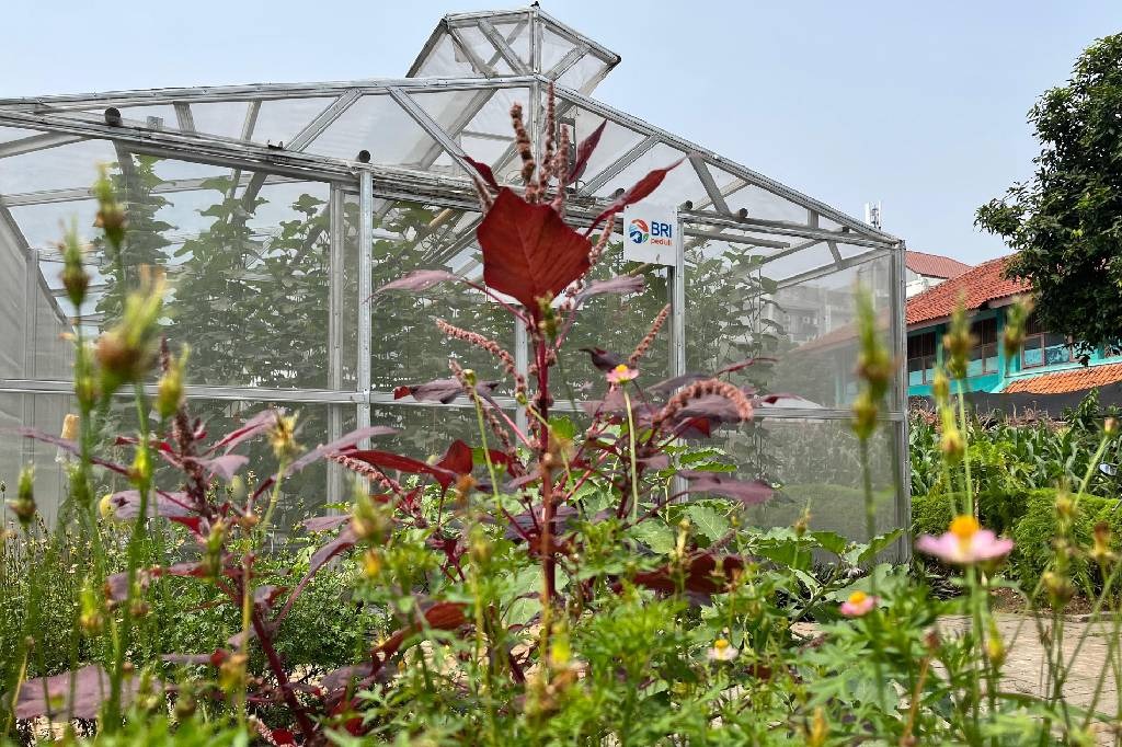 BRInita Perkuat Pengembangan Kebun Gangnam di Jakut, Jadi Ruang Produktif Warga