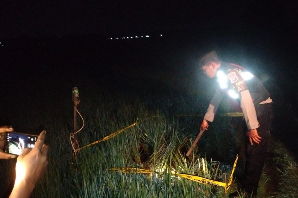 Tragis! Warga Madiun Tewas Tersengat Listrik dari Jebakan Tikus di Sawah