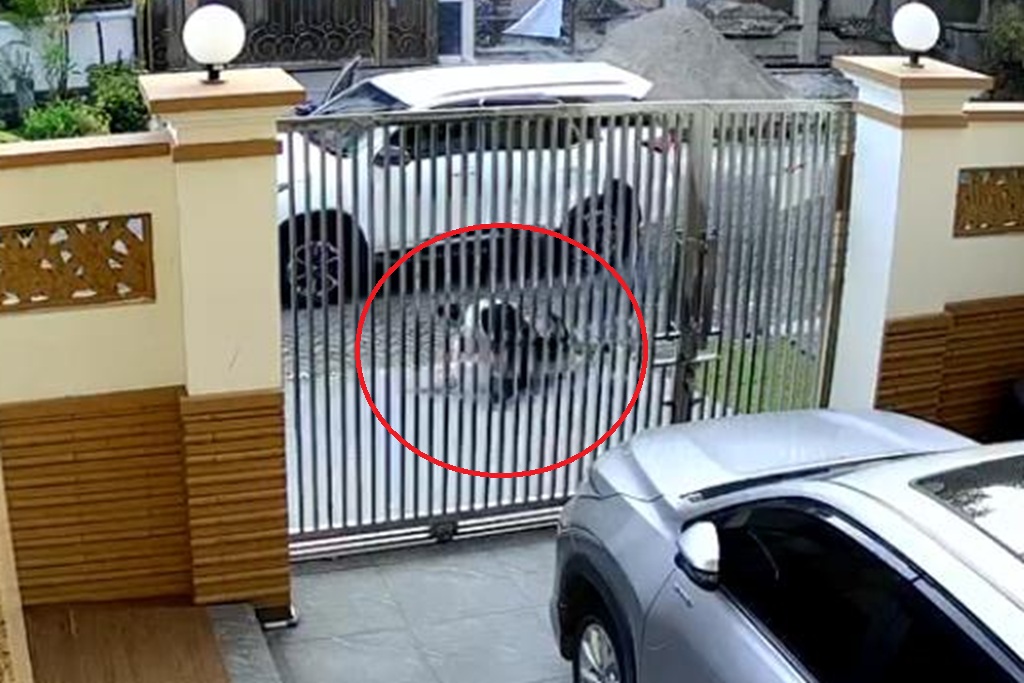 Polisi Buru Pelaku yang Gagal Culik Kakek 70 Tahun di PIK, Cek CCTV