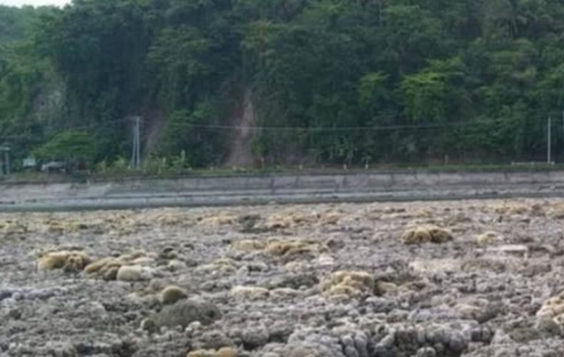 Gempa Dahsyat M7,8 Angkat Dasar Laut Filipina 2 Meter, Ikan-Ikan Mati