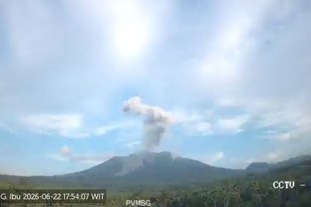 Gunung Ibu Erupsi, Muntahkan Kolom Abu Tebal Setinggi 800 Meter