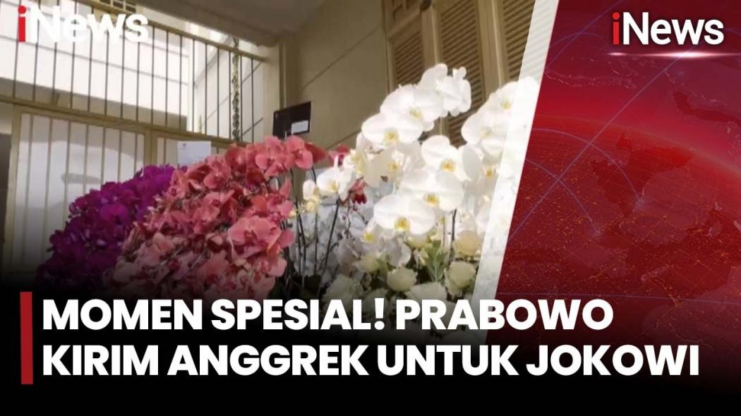 HUT ke-65 Jokowi, Presiden Prabowo Kirim Karangan Bunga Anggrek Ungu ke Solo