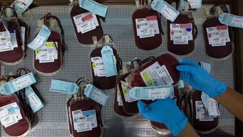 Stok Darah di PMI Cianjur Kosong Imbas Virus Corona