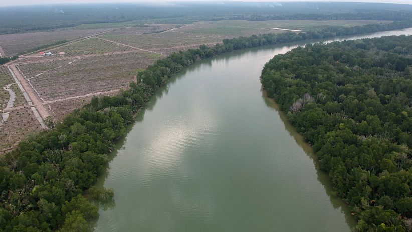  Rp4,8 Miliar Dikucurkan untuk Penataan Kawasan Mangrove di Singkawang dan Mempawah
