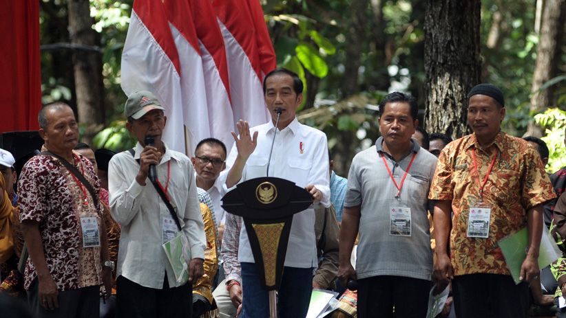 Harga Sawit Anjlok, Jokowi Sarankan Petani Tanam Jengkol