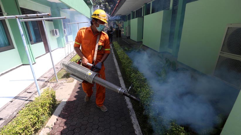 Waspadai DBD, Sekolah di Sulsel Bakal Difogging sebelum Belajar Tatap Muka