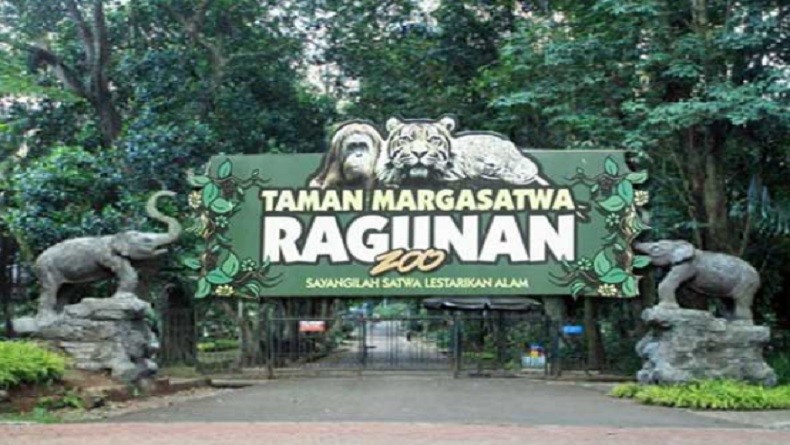 Akhir Pekan, Taman Margasatwa Ragunan Tampilkan Wisata Virtual
