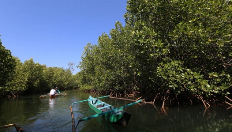 Maymun bilan jinsiy aloqa film