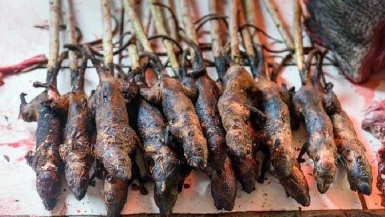 Tikus Panggang, Kuliner Ekstrem Khas Minahasa - Bagian 1