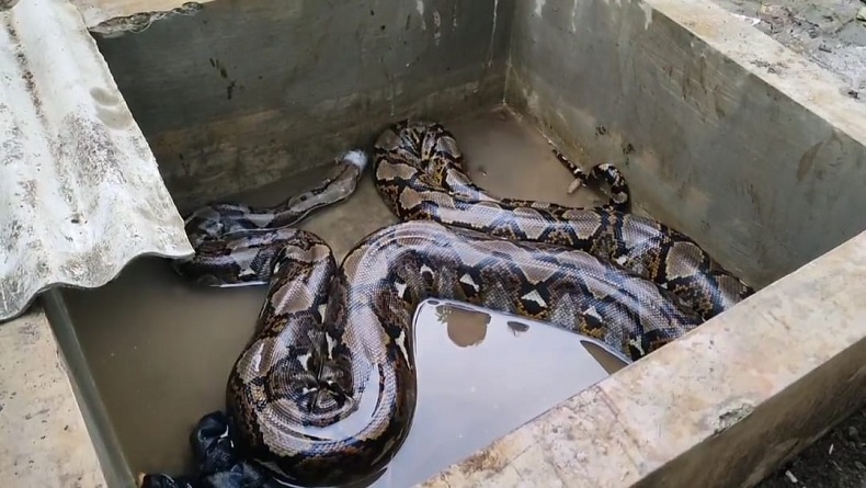 Erotik liboslar foto Oyoqlarda porno porno