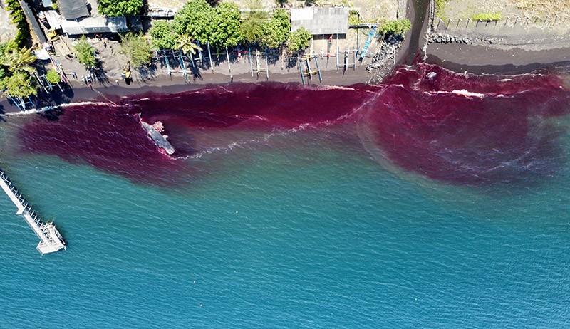 Yosh fotosini anal istaydi Plyajdagi jinsiy aloqa shaxsiy fotosurati