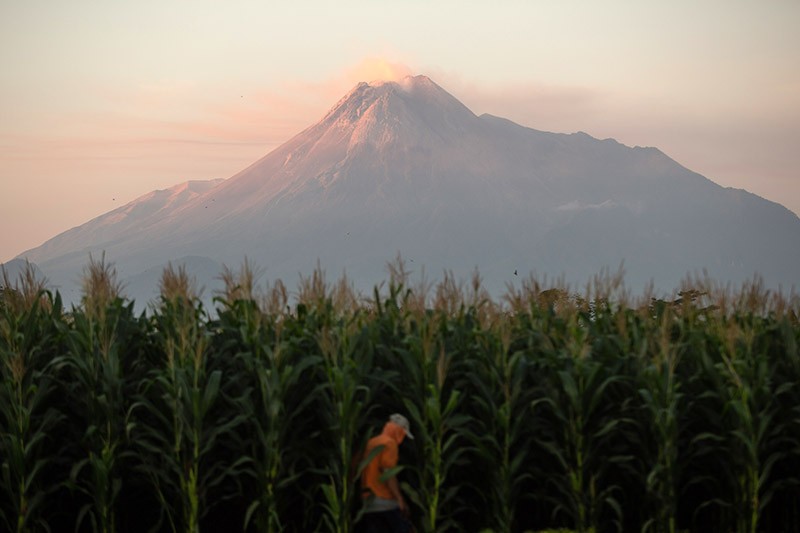 Gunung Merapi Kembali Bergejolak, Luncurkan Lava dan Awan Panas Sejauh 1,9 Km Gunung Merapi Kembali Bergejolak, Luncurkan Lava dan Awan Panas Sejauh 1,9 Km