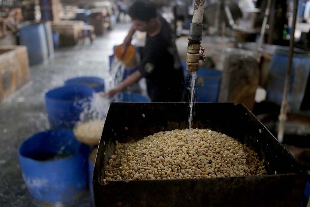 Harga Kedelai Terus Naik, Bapanas Peringatkan Distributor-Importir Patuhi Harga Acuan Pemerintah Harga Kedelai Terus Naik, Bapanas Peringatkan Distributor-Importir Patuhi Harga Acuan Pemerintah