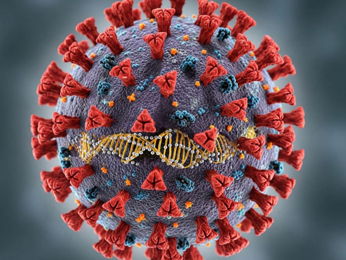 Thailand Temukan Varian Baru Virus Corona, Berbahayakah? Thailand Temukan Varian Baru Virus Corona, Berbahayakah?