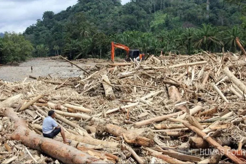 Bareskrim Selidiki Dugaan Illegal Logging Penyebab Banyaknya Kayu Terbawa Banjir di Sumatera Bareskrim Selidiki Dugaan Illegal Logging Penyebab Banyaknya Kayu Terbawa Banjir di Sumatera
