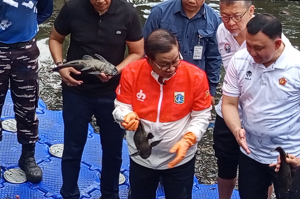 Pramono Ikut Basmi Ikan Sapu-Sapu: Begitu Ditangkap Pura-pura Lemas, Padahal Predator Pramono Ikut Basmi Ikan Sapu-Sapu: Begitu Ditangkap Pura-pura Lemas, Padahal Predator