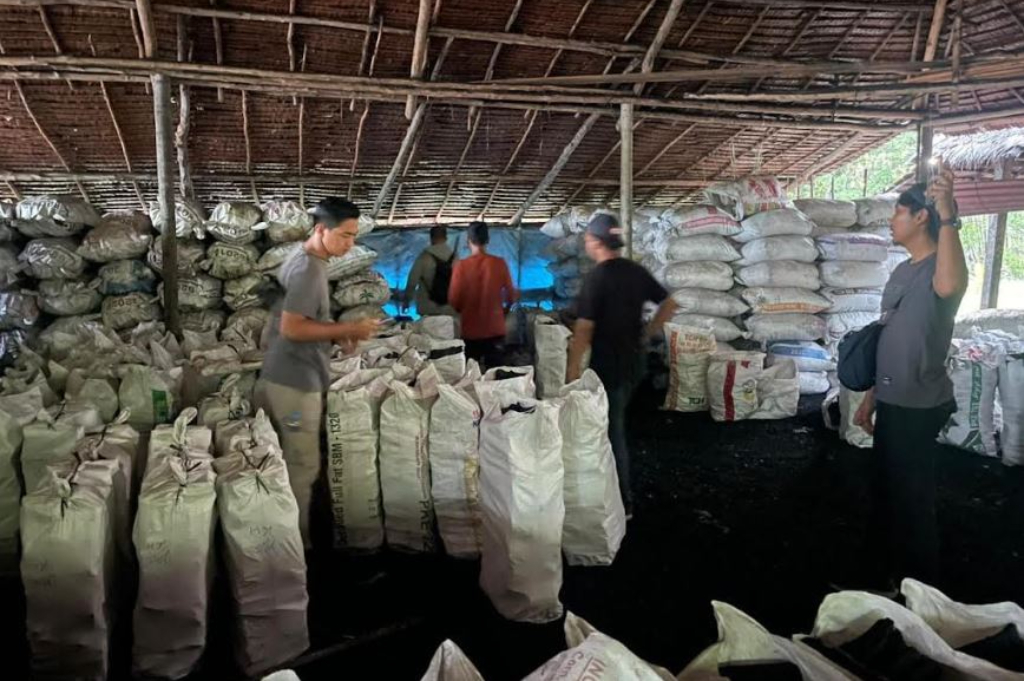 Polda Riau Tindak Perusak Hutan Mangrove di Meranti, Sita Ribuan Karung Arang Bakau Ilegal