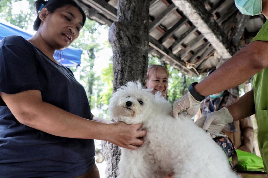 1.767 Hewan Divaksin Rabies di Jaksel: Kucing, Anjing hingga Kera 1.767 Hewan Divaksin Rabies di Jaksel: Kucing, Anjing hingga Kera