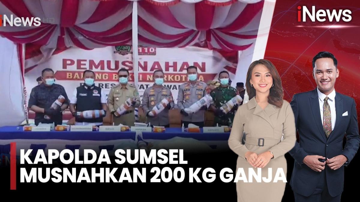 Kapolda Sumsel Musnahkan 200 Kilogram Ganja Kering Sitaan dari Empat Lawang Kapolda Sumsel Musnahkan 200 Kilogram Ganja Kering Sitaan dari Empat Lawang