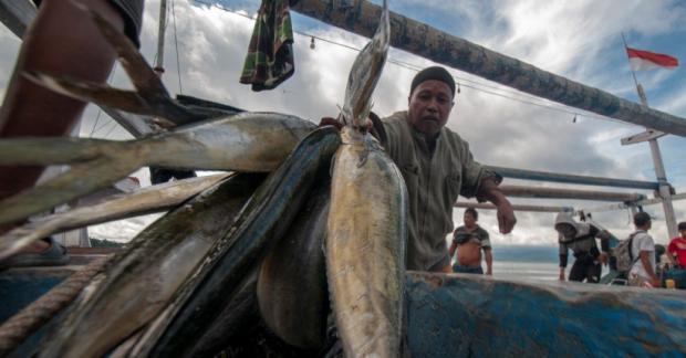 5 Negara Produsen Ikan Terbesar Di Dunia Indonesia Nomor 3 Bagian All