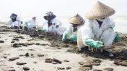 Pesisir Pantai Mekarjaya Karawang Tercemar Tumpahan Minyak Mentah