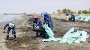 Pesisir Pantai Mekarjaya Karawang Tercemar Tumpahan Minyak Mentah