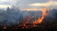 Kebakaran Lahan Gambut di Aceh Barat Meluas
