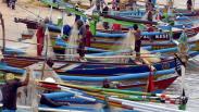 Cuaca Ekstrem, Nelayan Pantai Kedongan Badung Panen Ikan
