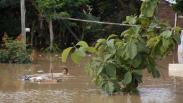 Sungai Bengawan Solo Meluap, Permukiman Warga Kampung Sewu Terendam Banjir