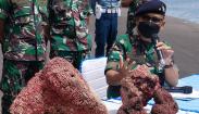 Penampakan Terumbu Karang Merah Senilai Rp2,5 M Hasil Selundupan Diamankan TNI AL