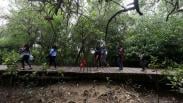 Libur Tahun Baru, Hutan Mangrove Wonorejo Dipenuhi Pengunjung