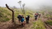 Menikmati Keindahan Alam dari Puncak Gunung Merbabu